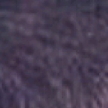 Guest_Gostlord1