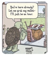 Guest_custosriflegreen4176