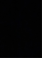 Guest_jasmine797851