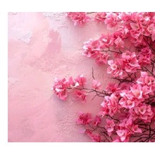 Guest_Sara611591