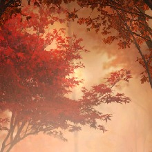 Guest_Caz4