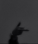 Guest_ziv16