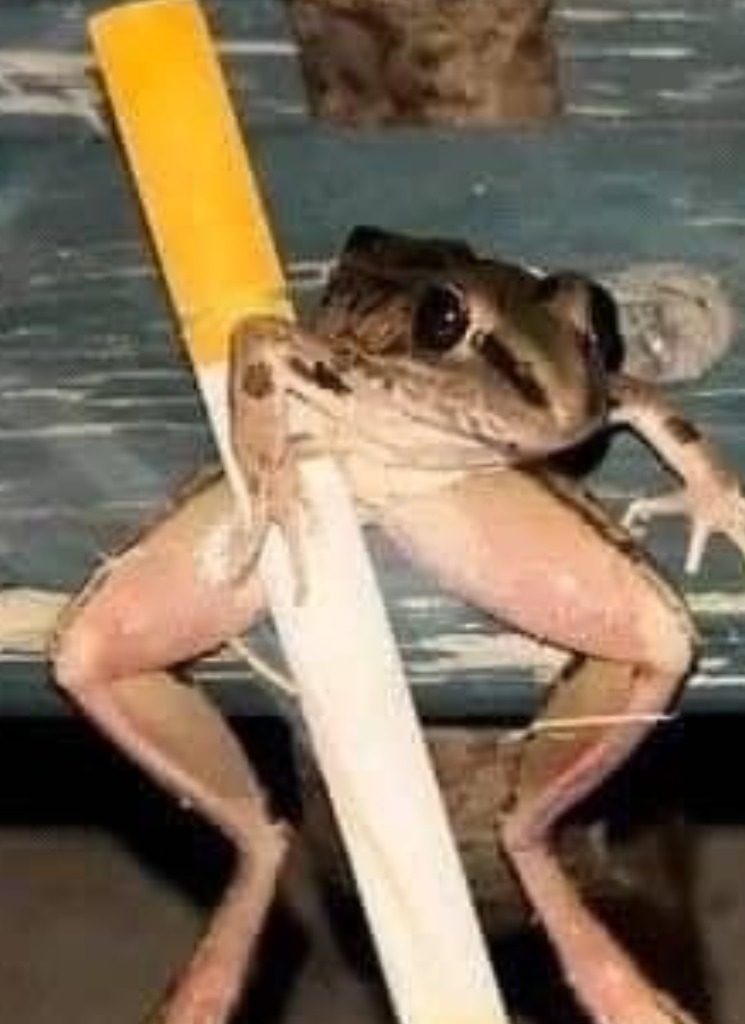 M3NTAL1TE