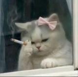 Guest_hsnshha