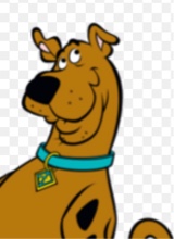 Guest_JahDTB1