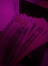Guest_Niya15472