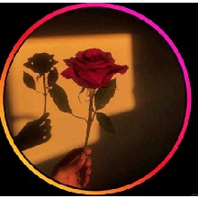 Guest_Sid727620