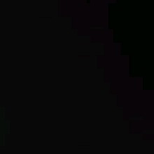 Guest_miapo19