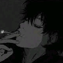 Guest_Cody886744