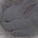 Guest_Liluvsq