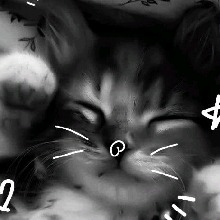 Guest_Sarapigu1