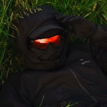 immagine avatar