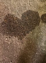 ccsugarpiie1821