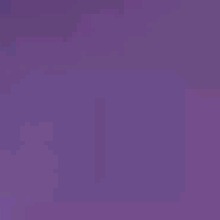 Guest_cleanoxfordblue6ddf