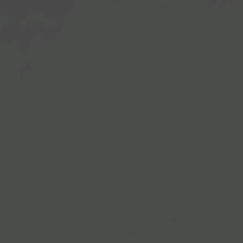 Guest_Asic2