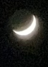 Guest_Yahdira4