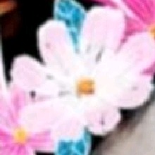 Guest_Kiara0282