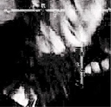 immagine avatar
