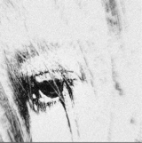 Guest_Jrxx