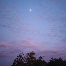 Guest_Andrea949541