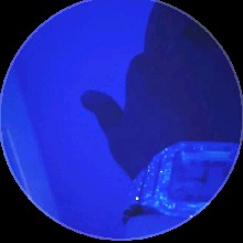 Guest_Nellyon