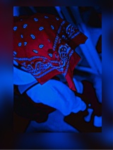 Guest_Alexis118352