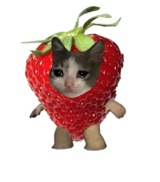 VMint