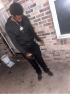 rockoutrenzo