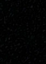 Guest_moonlight443