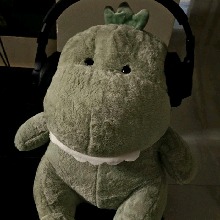 Guest_Dinosaur0819