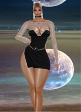 Guest_Leila31261
