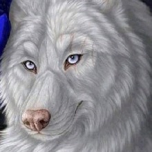 MrShadowLoneWolf