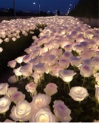 Guest_nyah370070