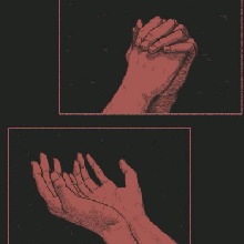 Vinzly