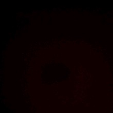 avatarbild