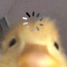 Guest_hehee10