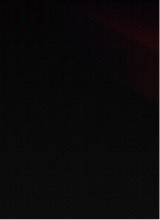 Guest_mikeeexvx
