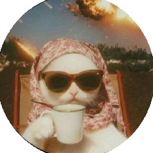 Guest_Aisha469014