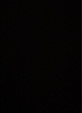 immagine avatar