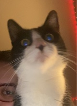 Guest_St0n3rgirl420