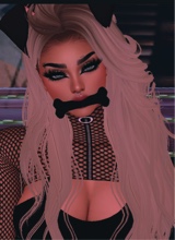 Guest_Trixie28201