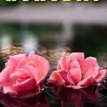 Guest_Anita225482