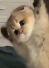 Guest_thatgurlDanie