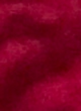 Guest_lexih5