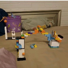 Guest_Mason228373
