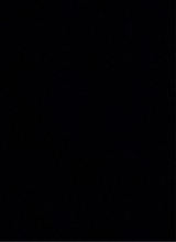 Guest_ariana32982
