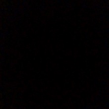 Guest_BiancaRosario2