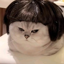 Guest_BandidaOk