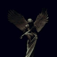 Guest_xNotte