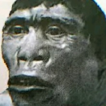imNIKO